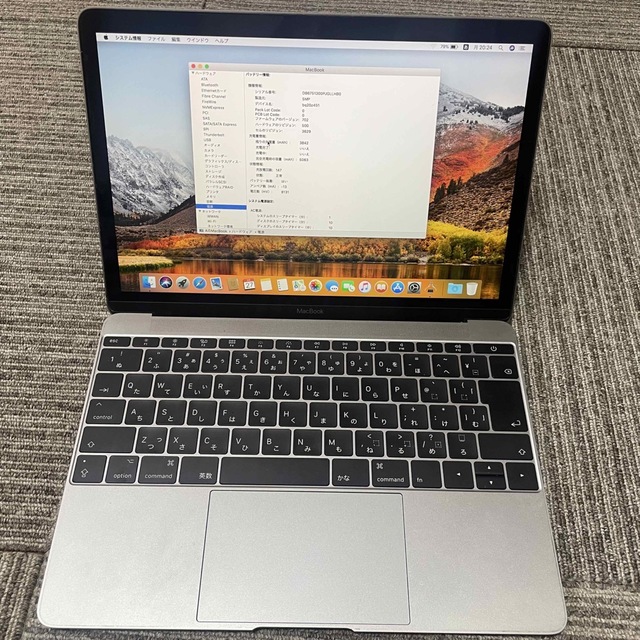 MacBook  2017 12インチ　APPLE MNYF2J/A