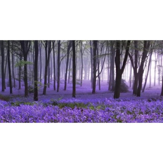 林の中の紫の花　A2サイズ　ダイヤモンドアートキット