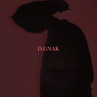 極美品D.GNAKドッキングブレザーレイヤードN2Bボンバージャケット48