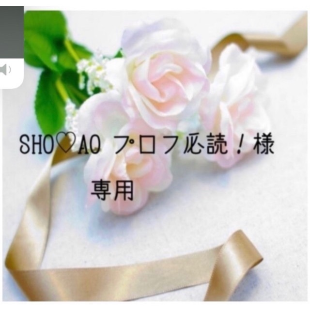 SHO♡AO プロフ必読！お米　令和4年　愛媛県産コシヒカリ　白米　10㎏