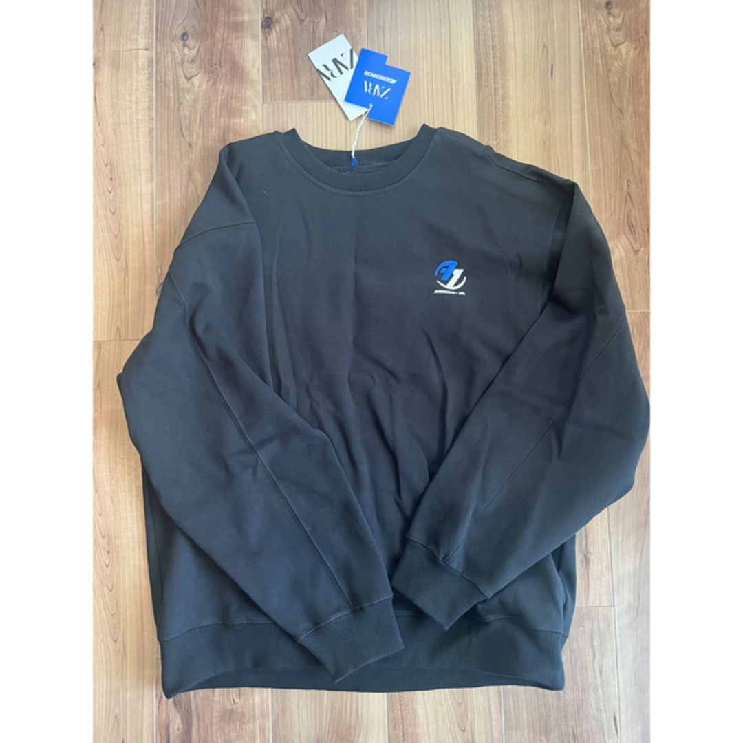 Adererror ×ZARA コラボスウェットL/XL