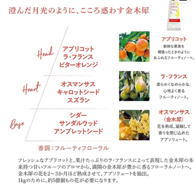 L'OCCITANE(ロクシタン)の【新品未開封】L'OCCITANE ロクシタンハンドクリーム3本セットポーチ付き コスメ/美容のボディケア(ハンドクリーム)の商品写真