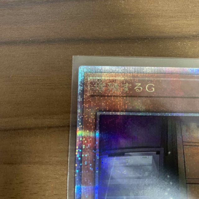 増殖するG 25th シク