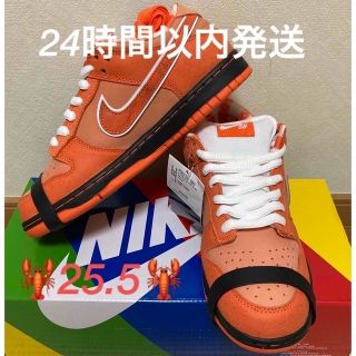 ナイキ(NIKE)のコンセプツ × ナイキ SB ダンク ロー SP "オレンジロブスター"(スニーカー)