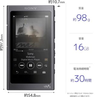 ソニー(SONY)のWALKMAN NW-A45 ウォークマン(ポータブルプレーヤー)