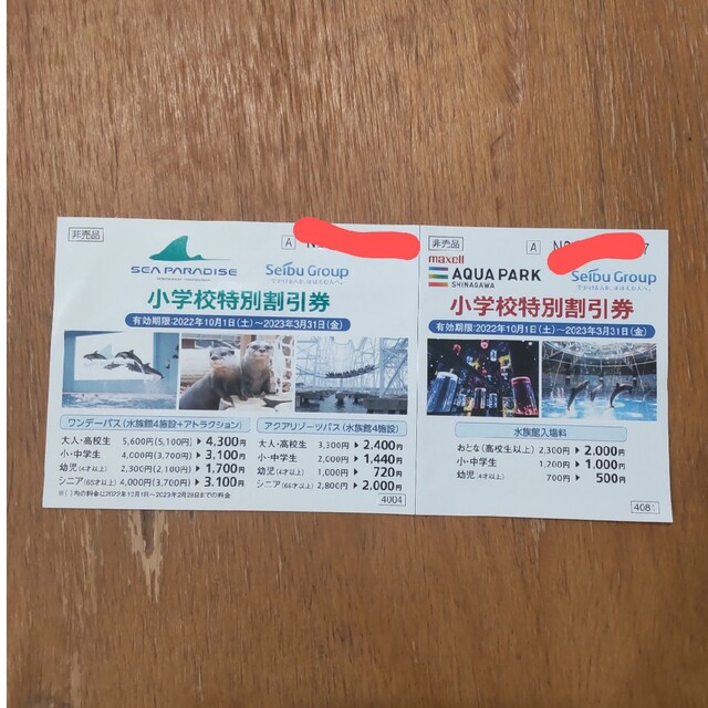 八景島シーパラダイス　チケット　割引券　クーポン チケットの施設利用券(水族館)の商品写真