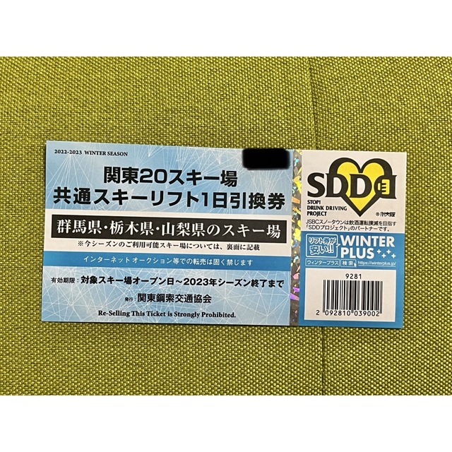 群馬、栃木、山梨 共通スキー場リフト券2枚