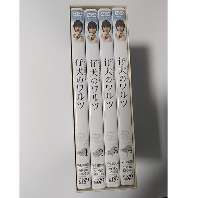 仔犬のワルツ　DVD-BOX DVD