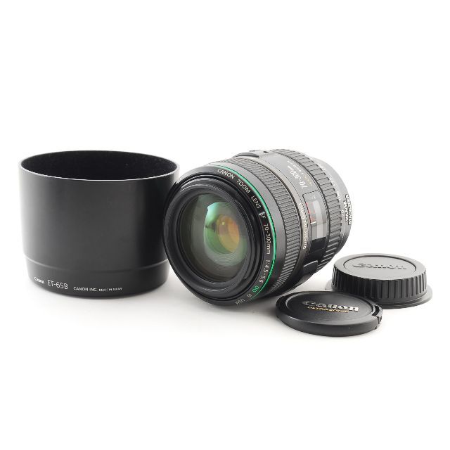 Canon EF 70-300mm f/4.5-5.6 DO IS USM 望遠 完成品 www.gold-and