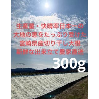 【冬季限定・農家直送】日本一の宮崎県産千切り（切り干し）大根　300g(野菜)