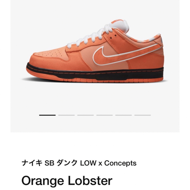 NIKE(ナイキ)のラッキー様専用ナイキSBダンクLOW x Concepts Orange メンズの靴/シューズ(スニーカー)の商品写真