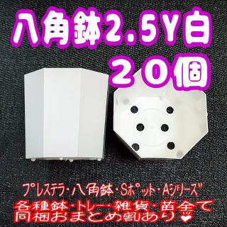 《2.5Y》カネヤ 八角鉢 白 20個 プラ鉢 多肉植物 プレステラ(プランター)