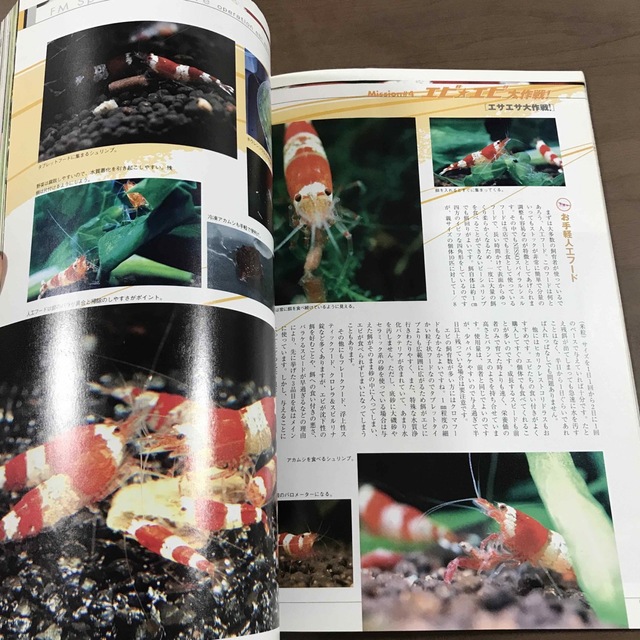 【雑誌】フィッシュマガジン fishmagazine 2005年2月 No467 エンタメ/ホビーの雑誌(趣味/スポーツ)の商品写真