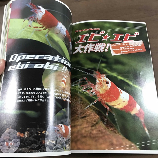 【雑誌】フィッシュマガジン fishmagazine 2005年2月 No467 エンタメ/ホビーの雑誌(趣味/スポーツ)の商品写真