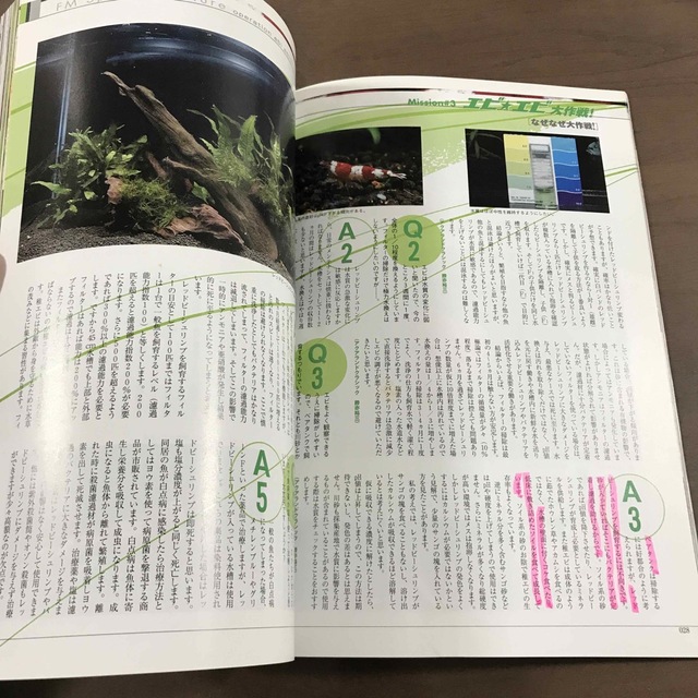 【雑誌】フィッシュマガジン fishmagazine 2005年2月 No467 エンタメ/ホビーの雑誌(趣味/スポーツ)の商品写真