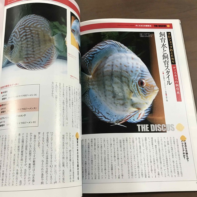 【雑誌】フィッシュマガジン fishmagazine 2005年2月 No467 エンタメ/ホビーの雑誌(趣味/スポーツ)の商品写真