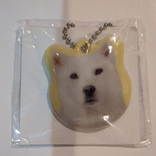 ソフトバンク(Softbank)のお父さんリフレクター♥非売品♥(ノベルティグッズ)