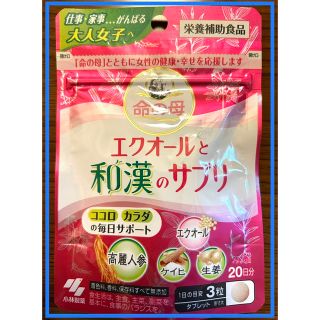 コバヤシセイヤク(小林製薬)の命の母　エクオールと和漢のサプリ　20日分(ビタミン)