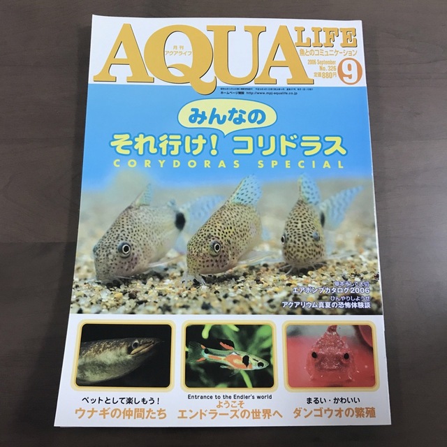 雑誌　貴重】アクアライフ　No326の通販　月刊AQUALIFE　2006年9月　by　ピー夏男｜ラクマ