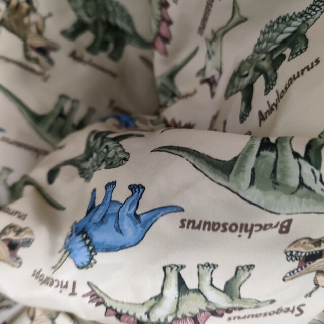 恐竜ジャケット メンズのジャケット/アウター(ナイロンジャケット)の商品写真