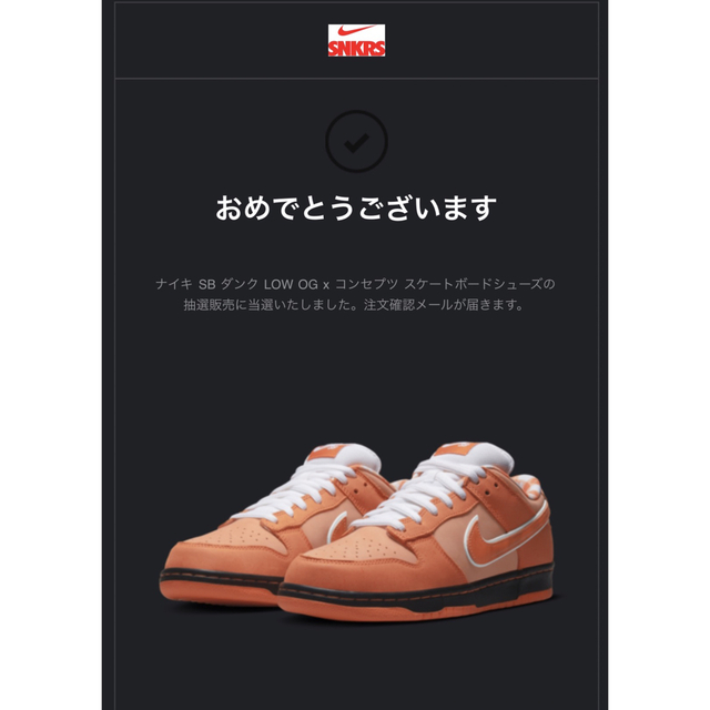 第一ネット NIKE - コンセプツ x ナイキ SB ダンク ロー SP 