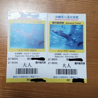 沖縄　美ら海水族館　入館チケット　大人2枚(水族館)