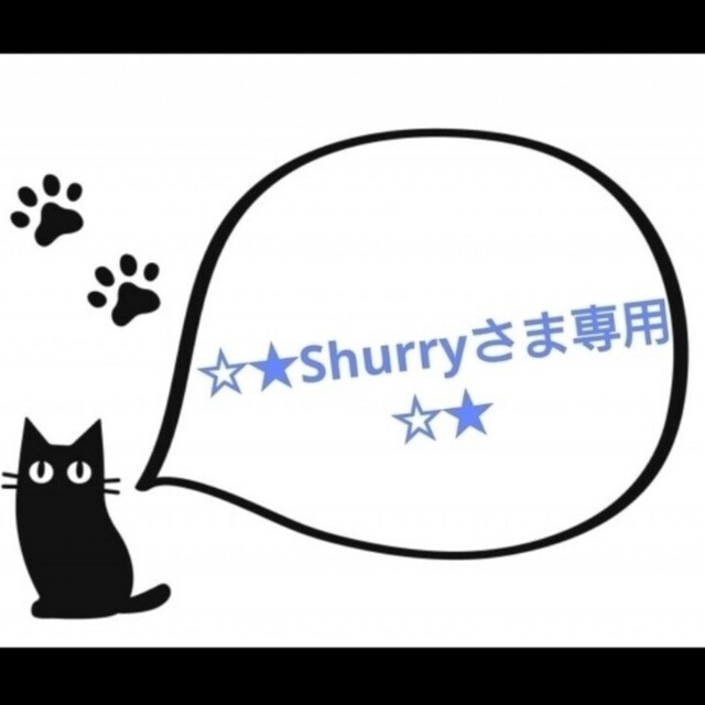 ★Shurryさま専用★給食袋 3点/ランチョンマット 3点/ 体操着袋 3点その他