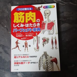 プロが教える筋肉のしくみ・はたらきパーフェクト事典 : オールカラー(健康/医学)