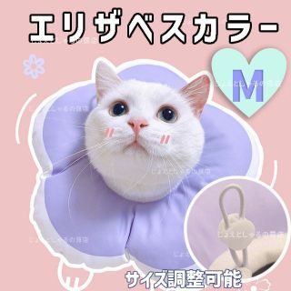 【パープルM】ソフト エリザベスカラー 術後ウェア 猫犬 皮膚病 雄雌 撥水防水(猫)