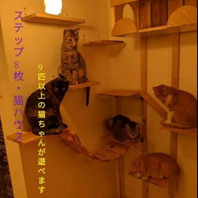 猫用品キャットタワー＆猫ハウス