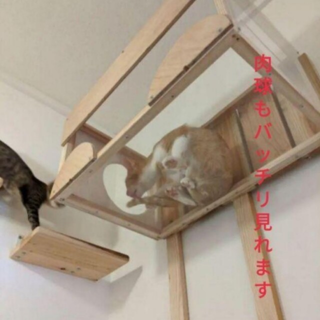 キャットタワー＆猫ハウス 5