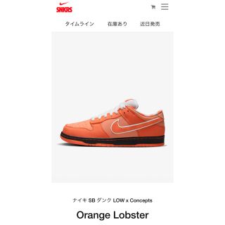 ナイキ(NIKE)のConcepts Nike SB Dunk Low Orange Lobster(スニーカー)