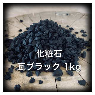 1kg 化粧石 マルチング デコジャリ ブラック アガベ パキポディウム 1(その他)