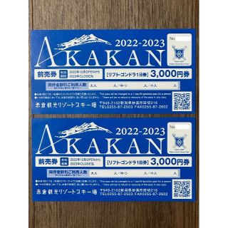 赤倉観光リゾートスキー場リフト・ゴンドラ1日券 2枚セット(スキー場)