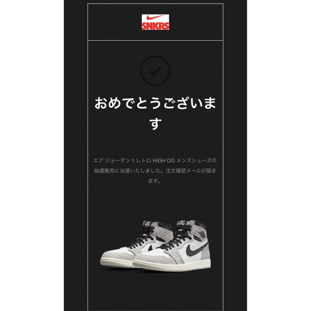 Nike Air Jordan 1 High White Cement 27.5