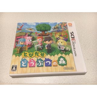 mii様 専用(携帯用ゲームソフト)