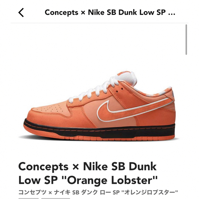 NIKE(ナイキ)のNIKE Dunk SB × Concepts “Orange Lobster” メンズの靴/シューズ(スニーカー)の商品写真