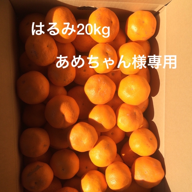 2023即納】 harimi様の通販 by Bu's shop|ラクマ biharfoodchain.com