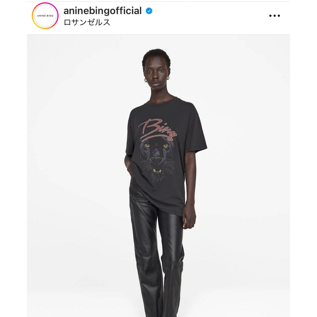 DEUXIEME CLASSE - anine bing アニービン アニンビン Tシャツ DEUXIEME CLASSE - anine bing アニービン アニンビン Tシャツ