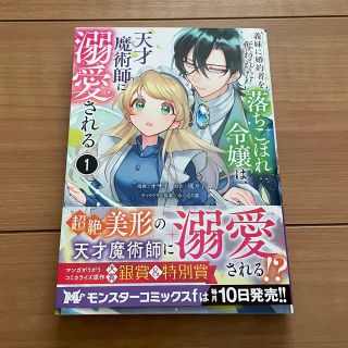 義妹に婚約者を奪われた落ちこぼれ令嬢は、天才魔術師に溺愛される (その他)