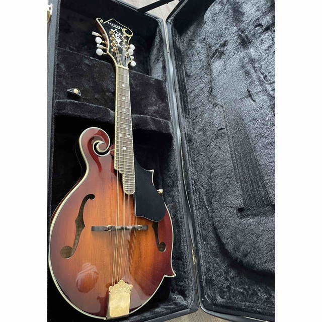 激安通販の stafford traditional フラットマンドリン マンドリン 激安通販の stafford traditional フラットマンドリン マンドリン