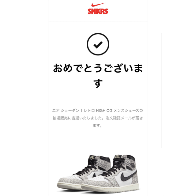 AIR JORDAN1 White Cement 27cm