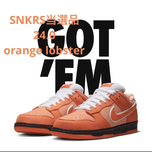 【新品】ナイキSBダンクlow×concepts orange lobster靴/シューズ