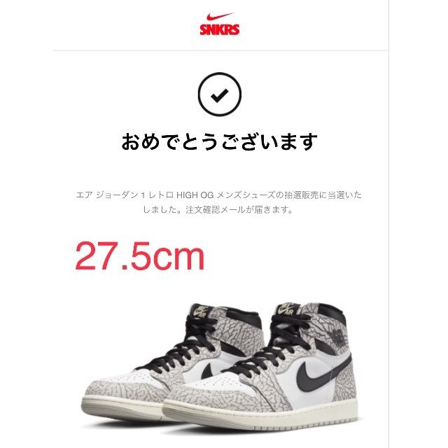 NIKE エアジョーダン1 ホワイトセメント 28cm