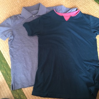 ユニクロ(UNIQLO)のポロシャツ　シャツ　メンズS  レディースML(ポロシャツ)