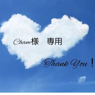 cham様　専用(ピアス)