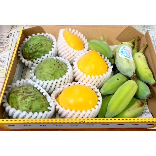 人気の沖縄産アテモヤ、アップルバナナ、レアなエッグフルーツ の３種 食品/飲料/酒の食品(フルーツ)の商品写真