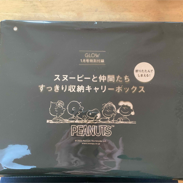 SNOOPY(スヌーピー)のGLOW  1月号 【付録】 スヌーピーと仲間たち すっきり収納キャリーBOX インテリア/住まい/日用品のインテリア小物(小物入れ)の商品写真