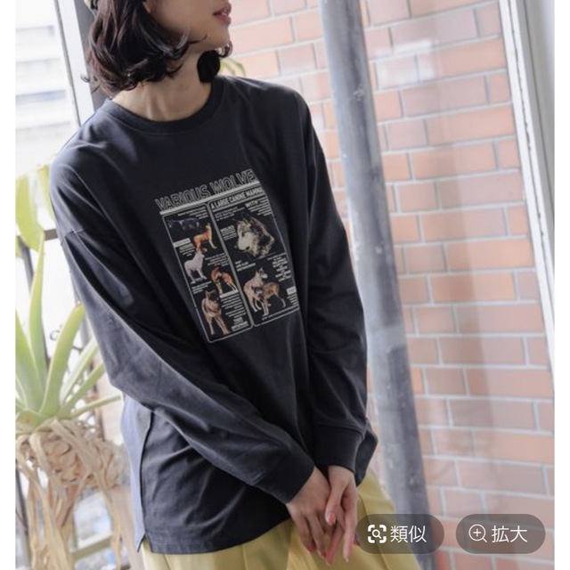 niko and...(ニコアンド)のniko and... アニマルアソートロンTEE レディースのトップス(Tシャツ(長袖/七分))の商品写真