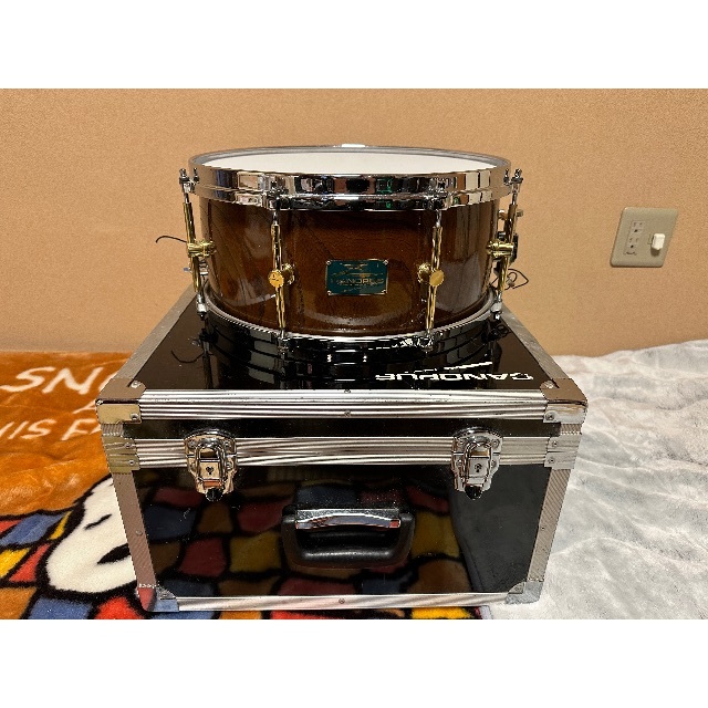 贅沢屋の ゼルコバ CANOPUS カノウプス 14×6.5 ハードケース付き